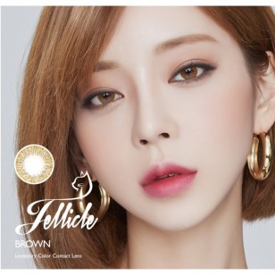 Lens Story Jellicle Brown(月拋)